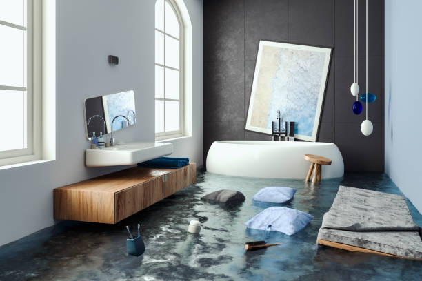 Best Local water damage restoration  in Petersburg, MI