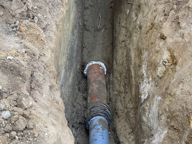 Best Sewage cleanup and water damage restoration  in Petersburg, MI