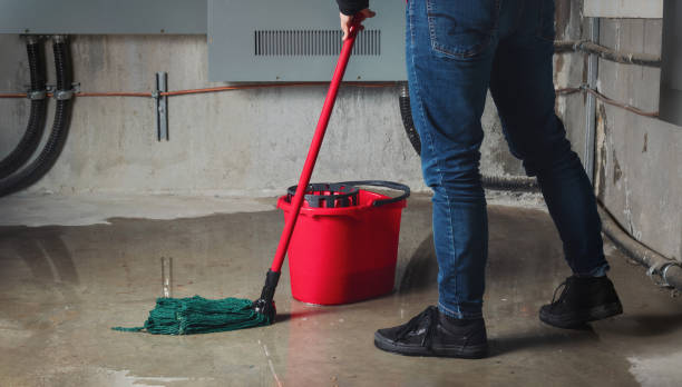 Best Residential water damage restoration  in Petersburg, MI