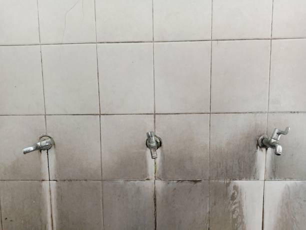 Best Fire Damage Restoration  in Petersburg, MI