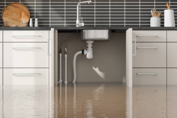 Best Water damage restoration insurance claims  in Petersburg, MI