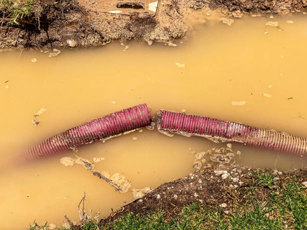 Best Water damage restoration mold remediation  in Petersburg, MI