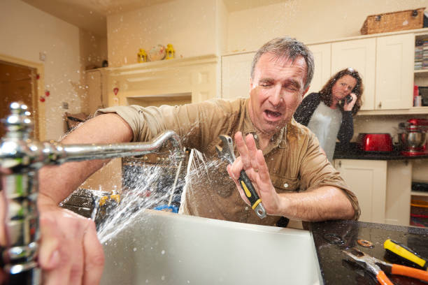 Best Flood restoration services  in Petersburg, MI